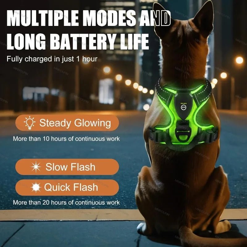 adjustable-no-pull-reflective-led-oxford-dog-harness-for-night-safety-img3.jpg