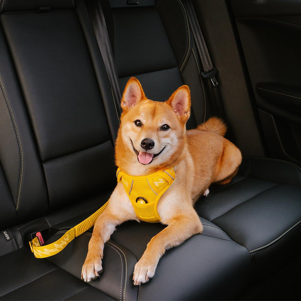 adjustable-reflective-dog-car-seat-belt-for-travel-safety-img2.jpg