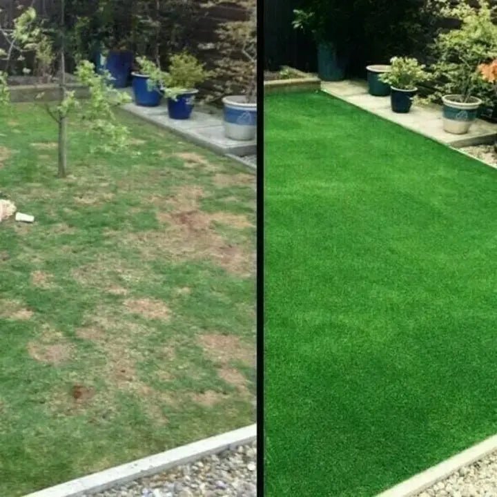 biodegradable-grass-seed-mat-duo-for-effortless-lawn-growth-img5.jpg