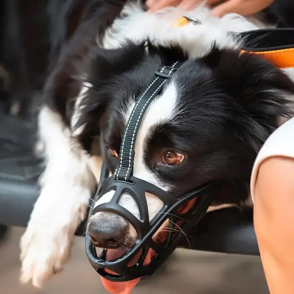 breathable-lightweight-soft-fit-dog-muzzle-for-all-breeds-img3.jpg