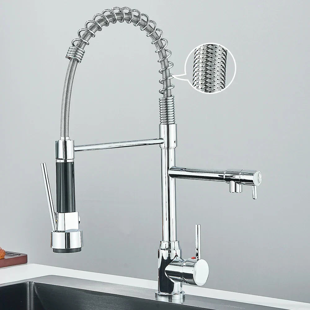 dual-outlet-stainless-steel-kitchen-faucet-with-modern-versatility-img1.webp