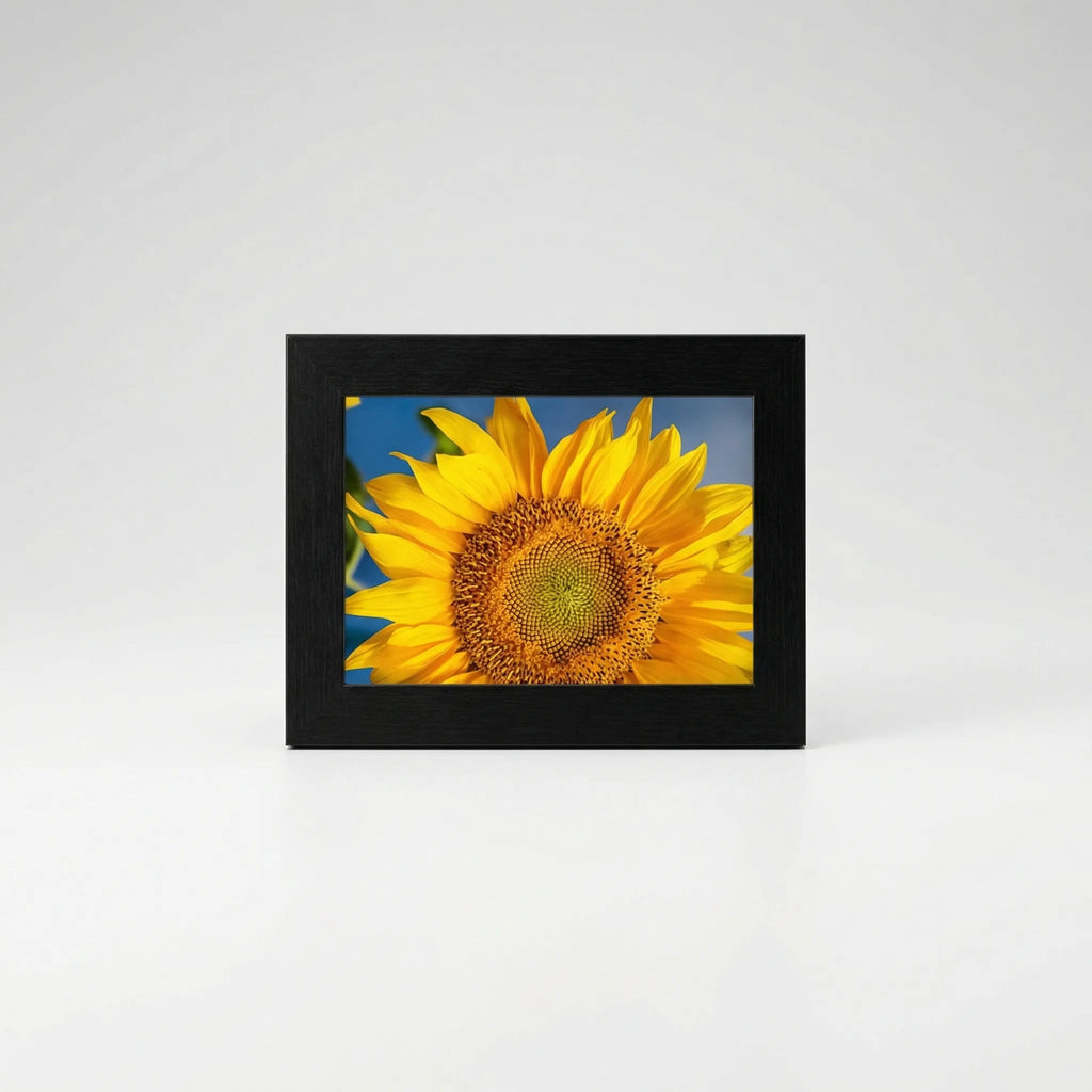 interchangeable-gallery-wall-photo-frame-set-img4.webp