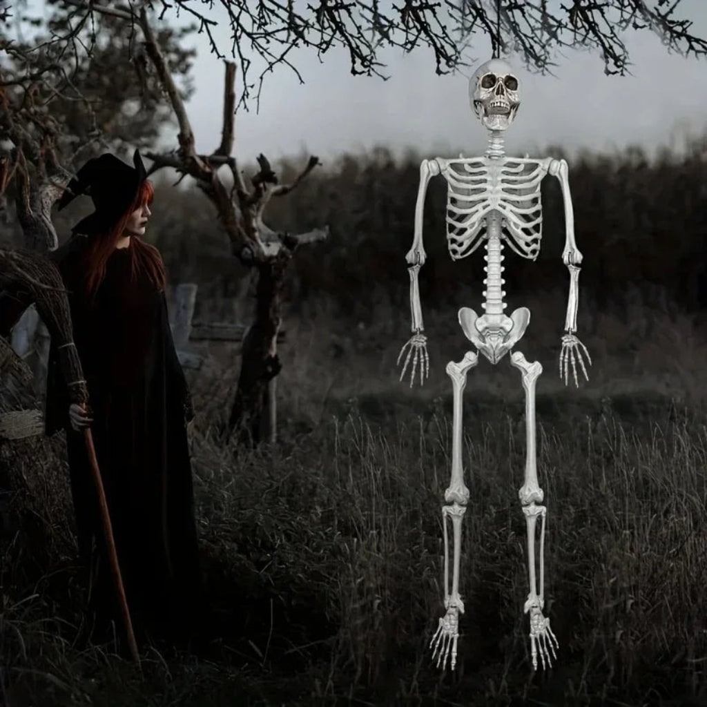 jeffrey-eerie-life-size-skeleton-statue-img3.jpg