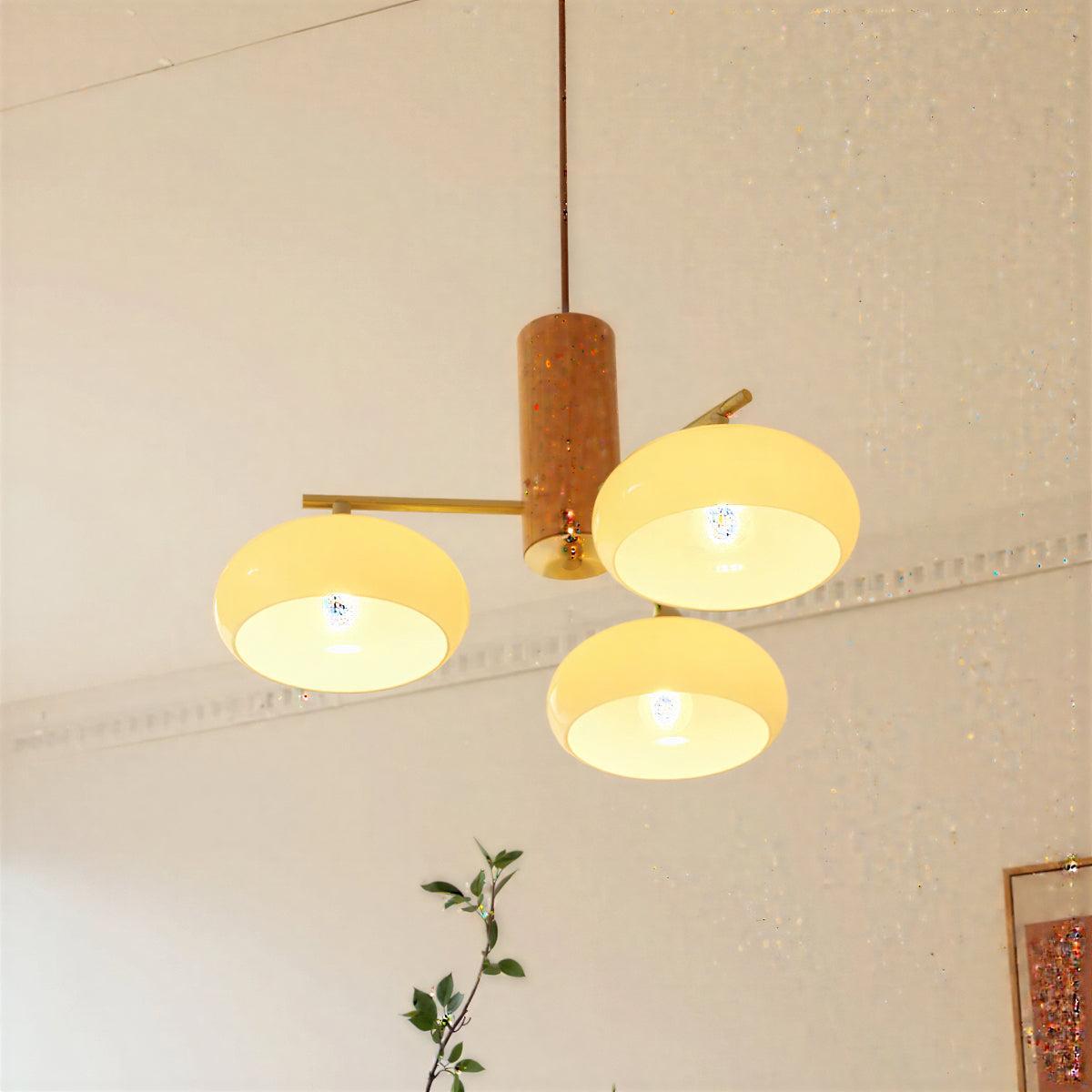 mid-century-modern-dining-room-chandelier-pendant-light-fixture-img4.jpg