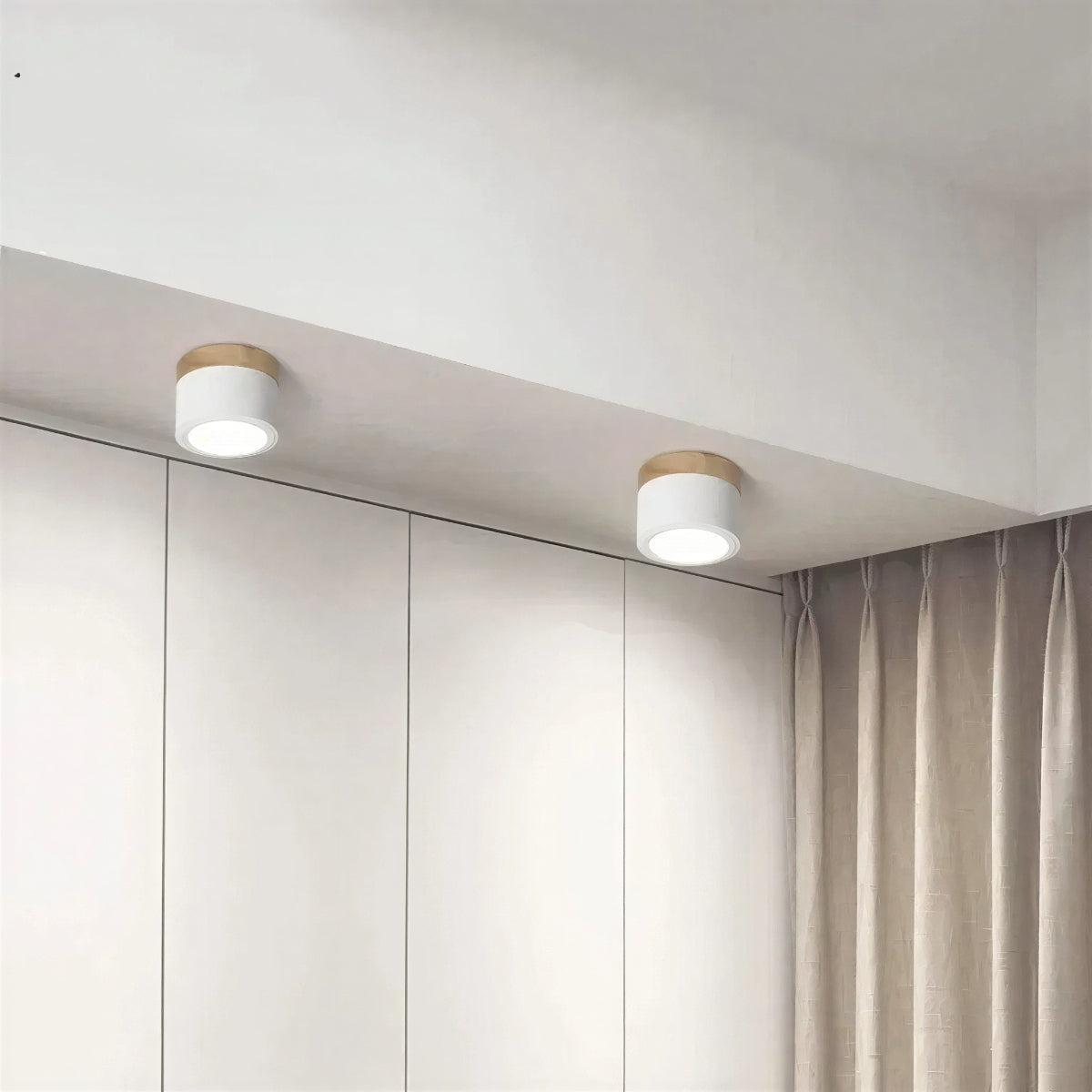 modern-cylinder-led-flush-mount-ceiling-light-fixture-downlight-img3.jpg
