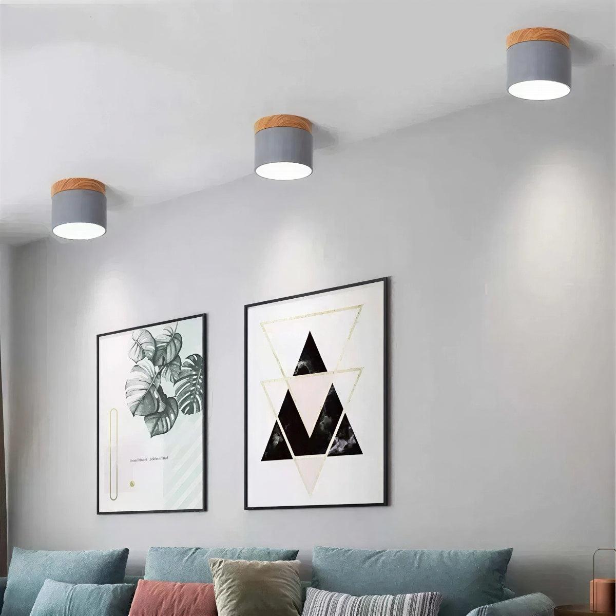 modern-cylinder-led-flush-mount-ceiling-light-fixture-downlight-img5.jpg