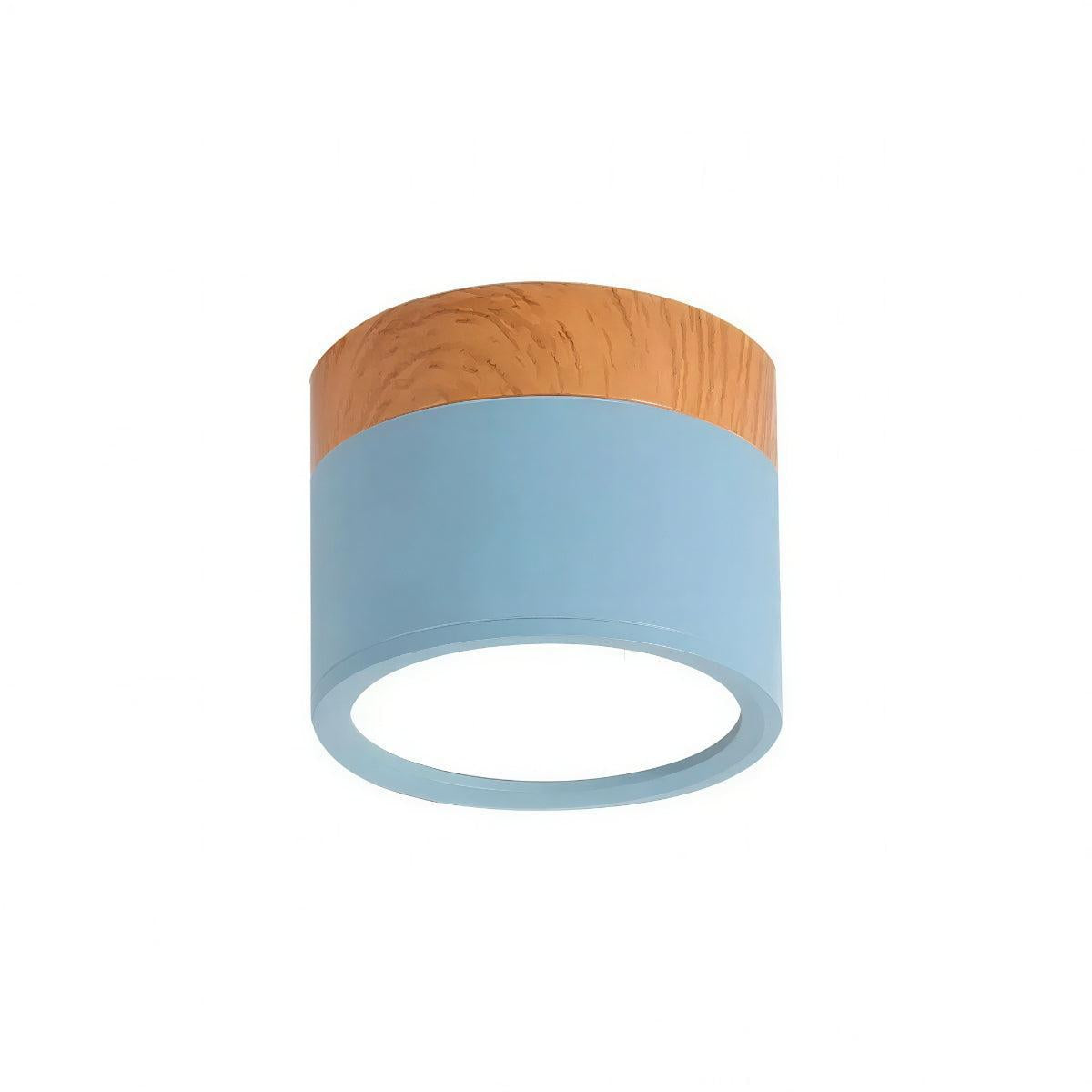 modern-cylinder-led-flush-mount-ceiling-light-fixture-downlight-img6.jpg