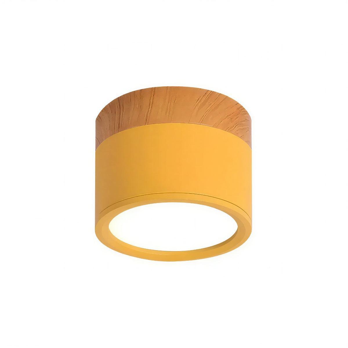 modern-cylinder-led-flush-mount-ceiling-light-fixture-downlight-img8.jpg