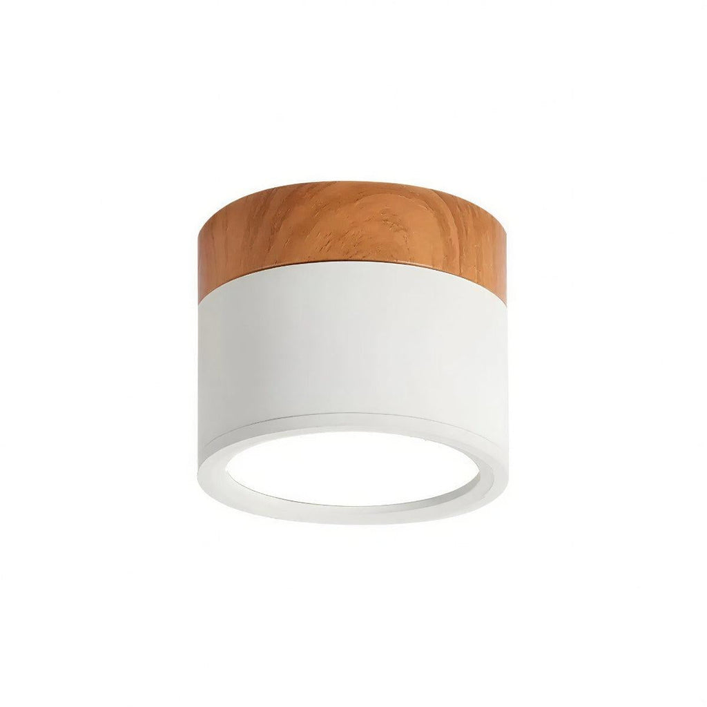 modern-cylinder-led-flush-mount-ceiling-light-fixture-downlight-img9.jpg