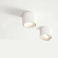 modern-flush-mount-ceiling-light-adjustable-spotlight-led-cylinder-fixture-img1.jpg