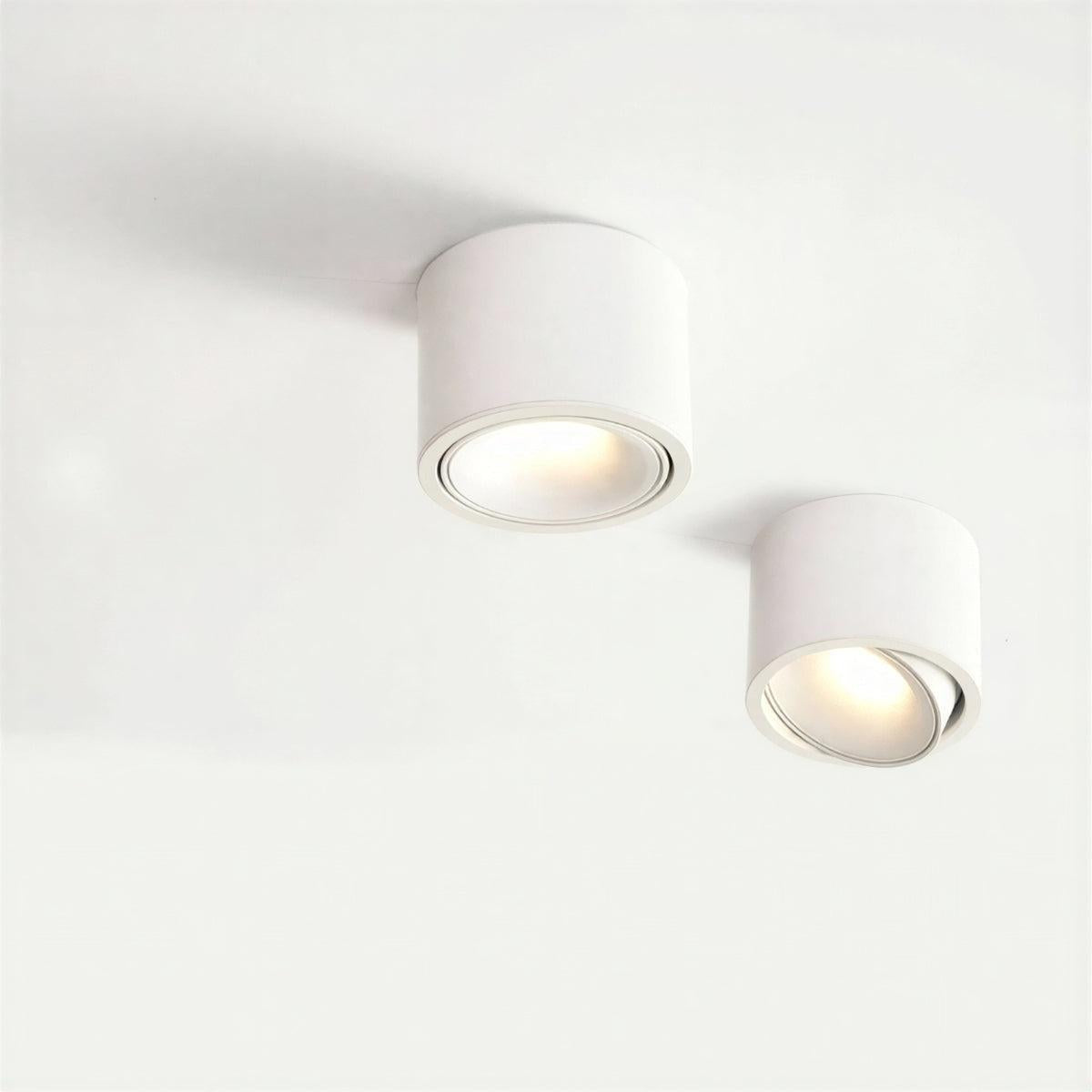 modern-flush-mount-ceiling-light-adjustable-spotlight-led-cylinder-fixture-img1.jpg