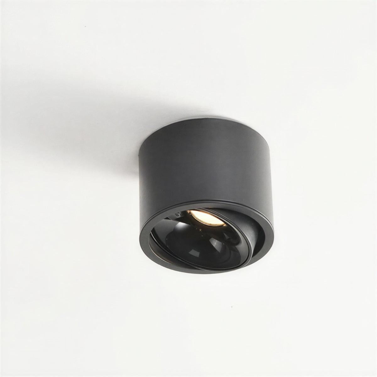 modern-flush-mount-ceiling-light-adjustable-spotlight-led-cylinder-fixture-img2.jpg