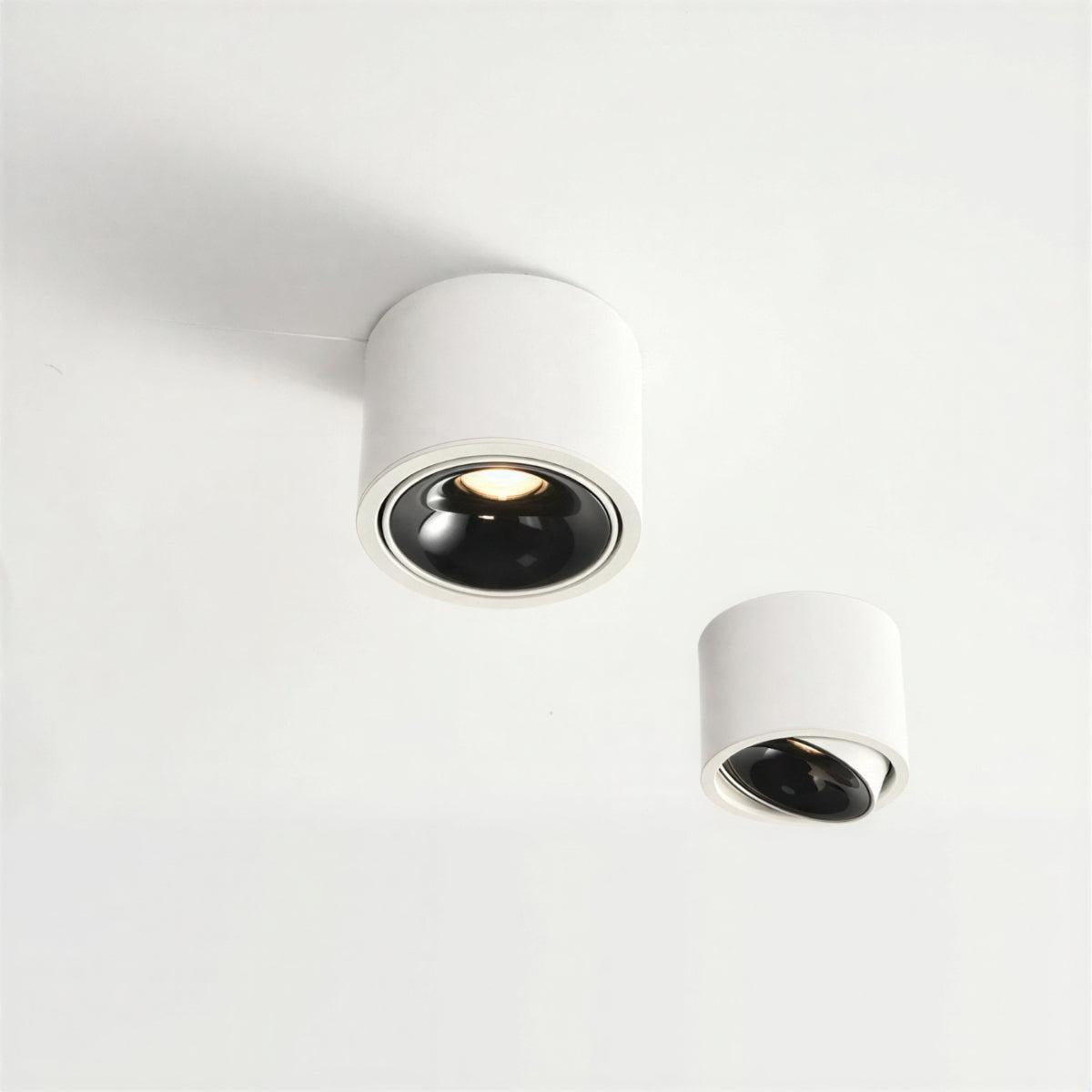 modern-flush-mount-ceiling-light-adjustable-spotlight-led-cylinder-fixture-img3.jpg