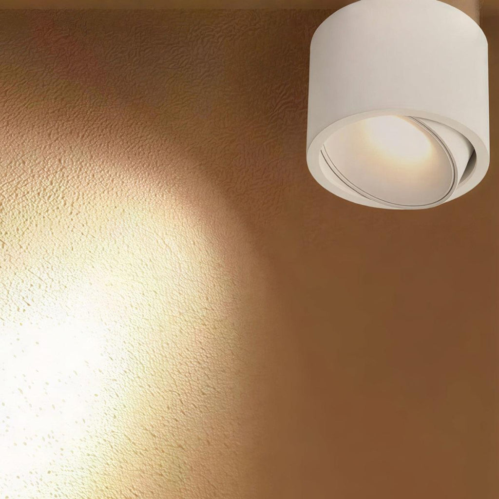 modern-flush-mount-ceiling-light-adjustable-spotlight-led-cylinder-fixture-img5.jpg