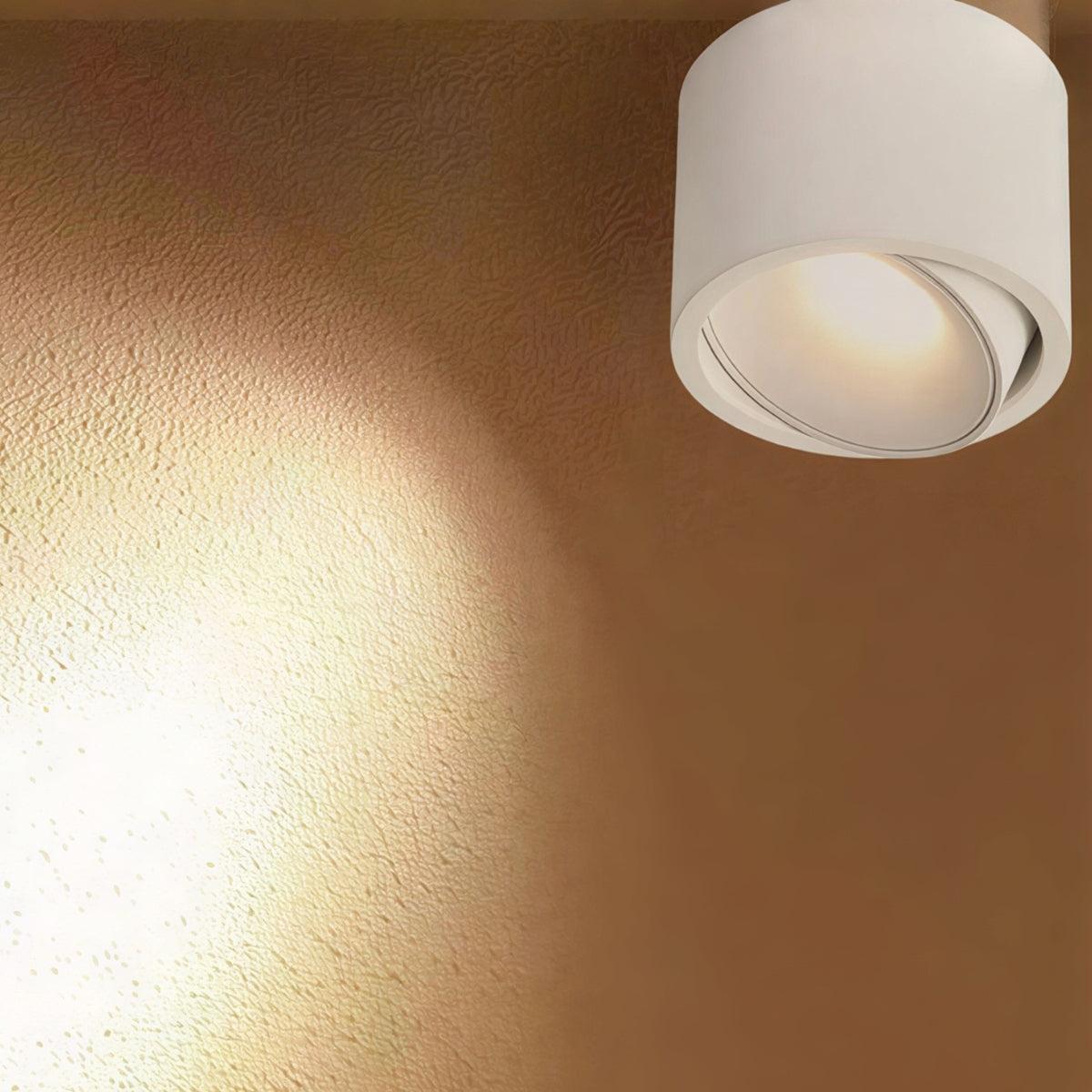 modern-flush-mount-ceiling-light-adjustable-spotlight-led-cylinder-fixture-img5.jpg