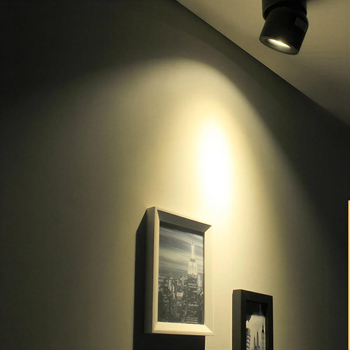 modern-flush-mount-ceiling-light-with-adjustable-spotlight-img1.jpg