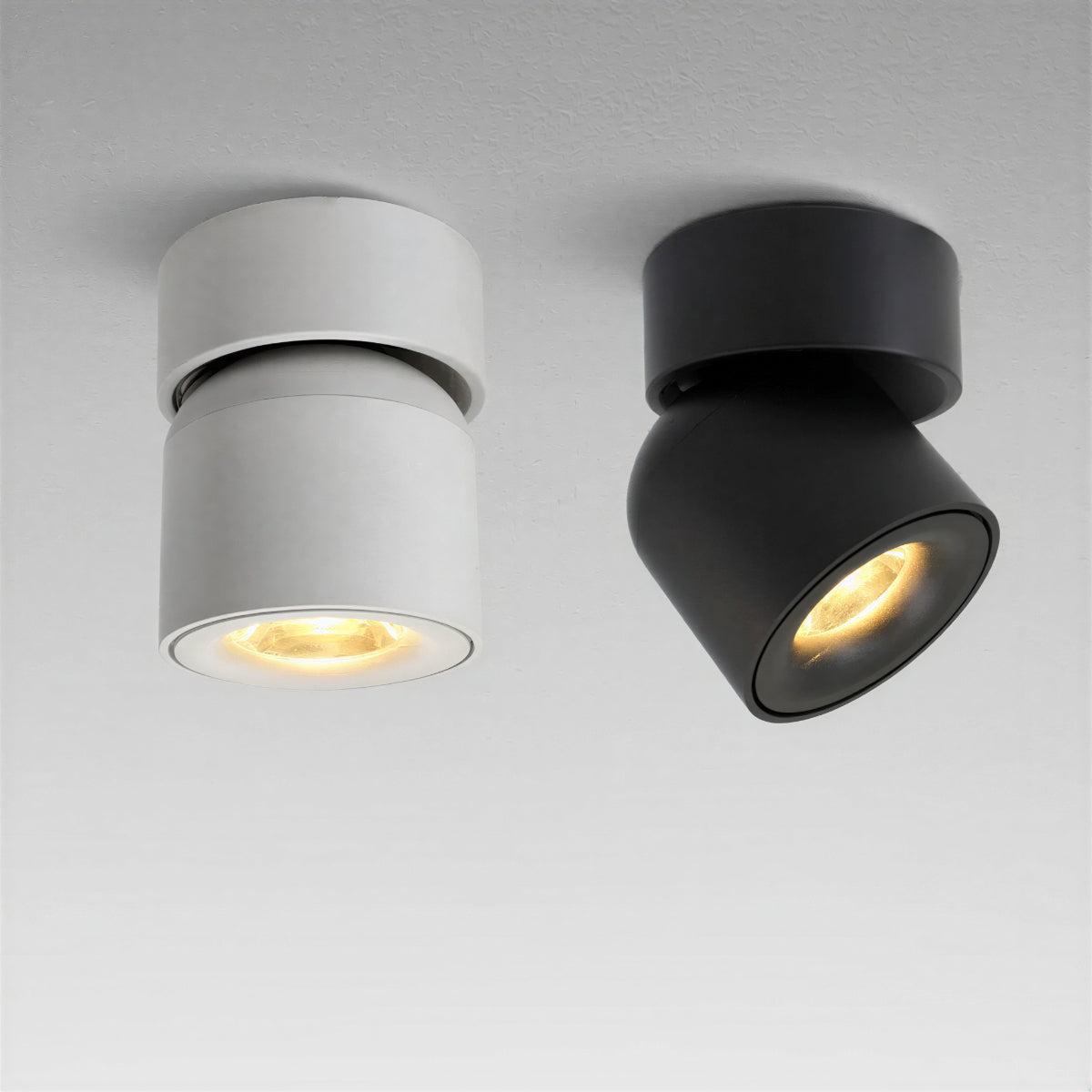 modern-flush-mount-ceiling-light-with-adjustable-spotlight-img2.jpg