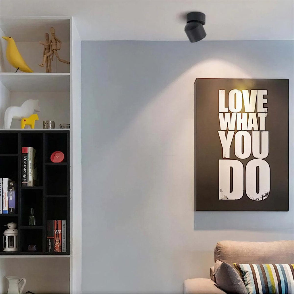 modern-flush-mount-ceiling-light-with-adjustable-spotlight-img3.jpg