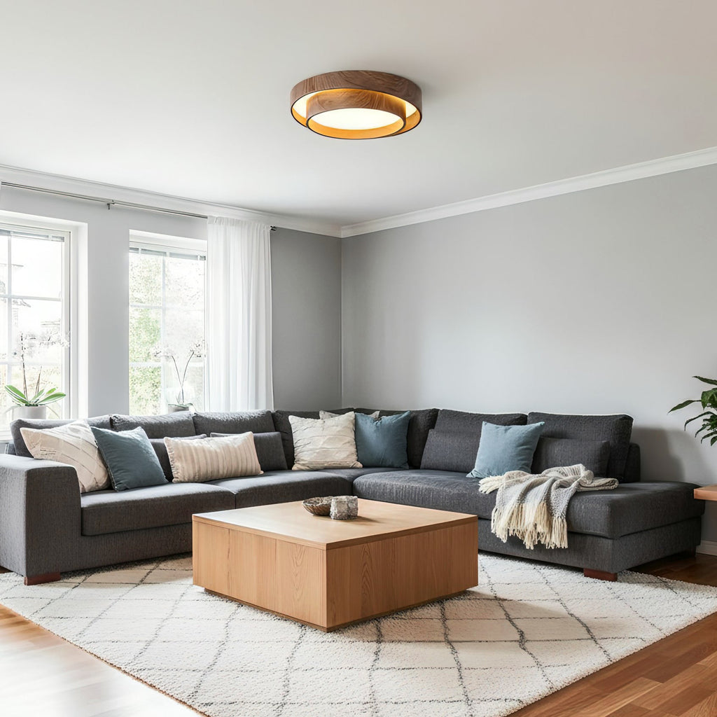 modern-flush-mount-ceiling-light-with-minimalist-design-img7.jpg