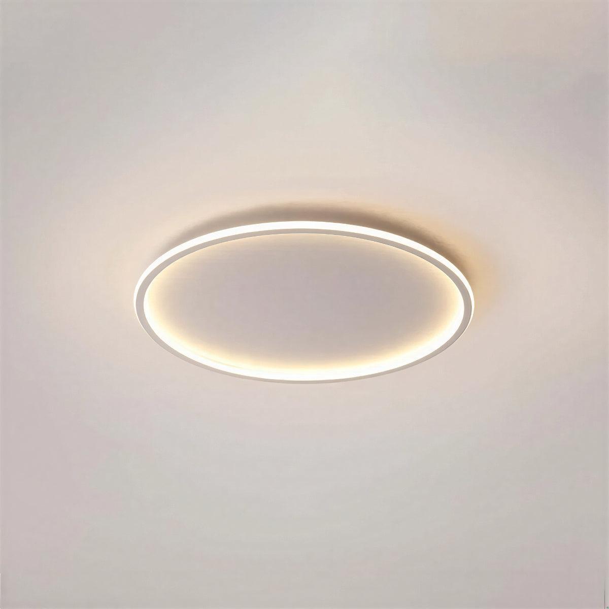 modern-flush-mount-led-round-ceiling-light-fixture-for-living-room-img2.jpg