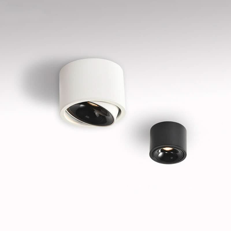 modern-led-flush-mount-with-adjustable-spotlight-img1.jpg
