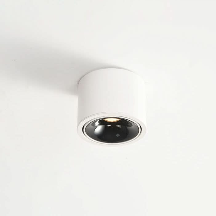 modern-led-flush-mount-with-adjustable-spotlight-img14.jpg