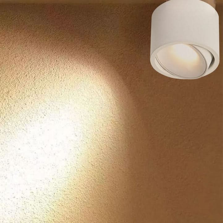 modern-led-flush-mount-with-adjustable-spotlight-img16.jpg
