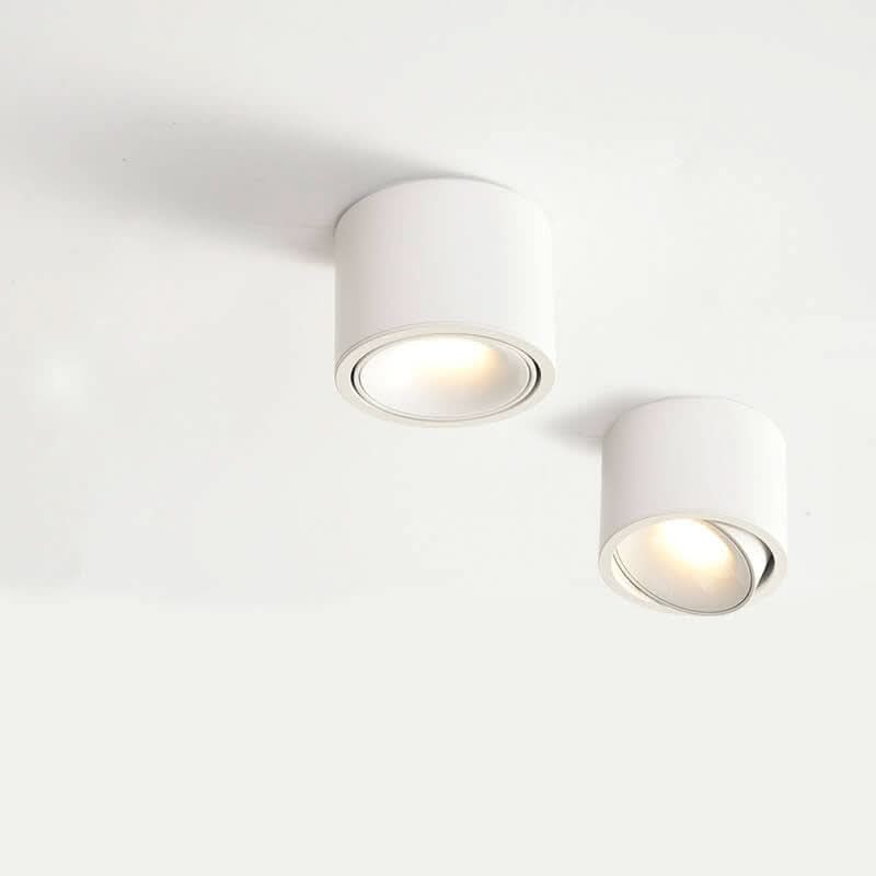 modern-led-flush-mount-with-adjustable-spotlight-img17.jpg