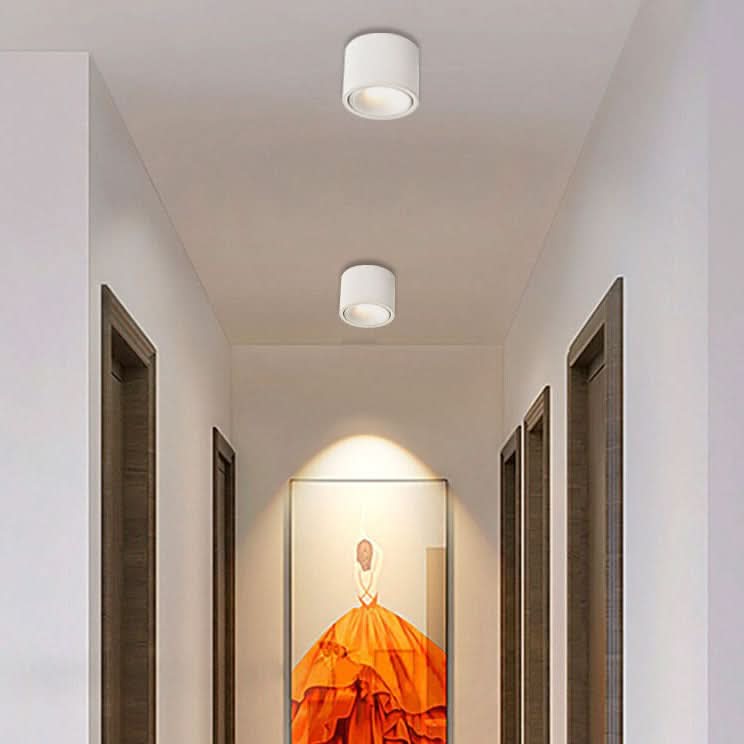modern-led-flush-mount-with-adjustable-spotlight-img20.jpg