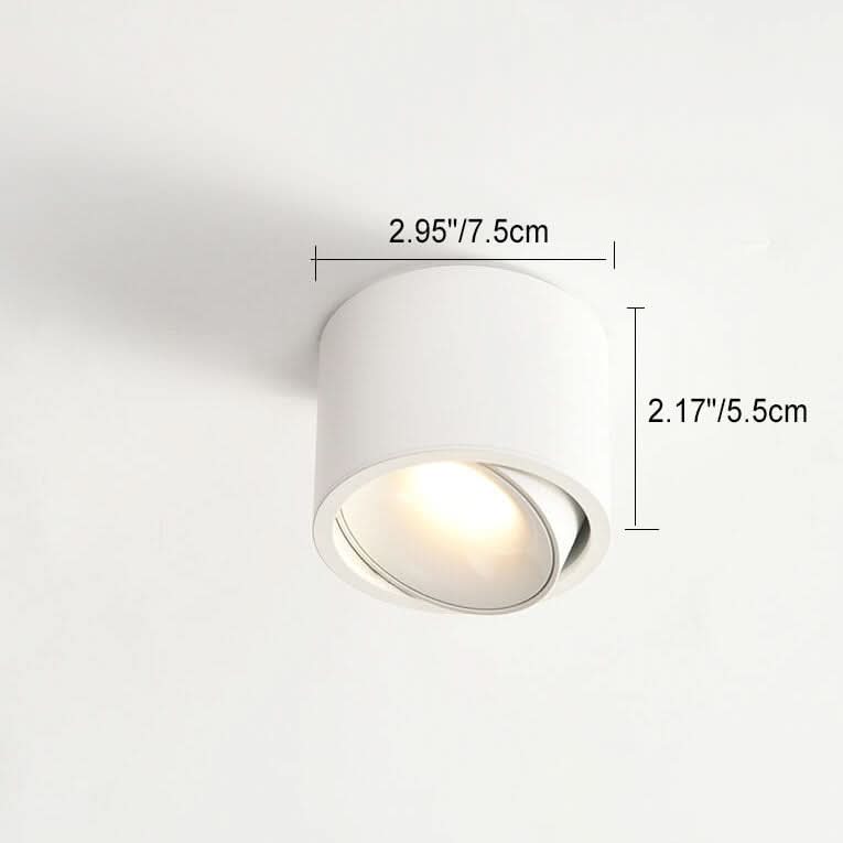 modern-led-flush-mount-with-adjustable-spotlight-img4.jpg