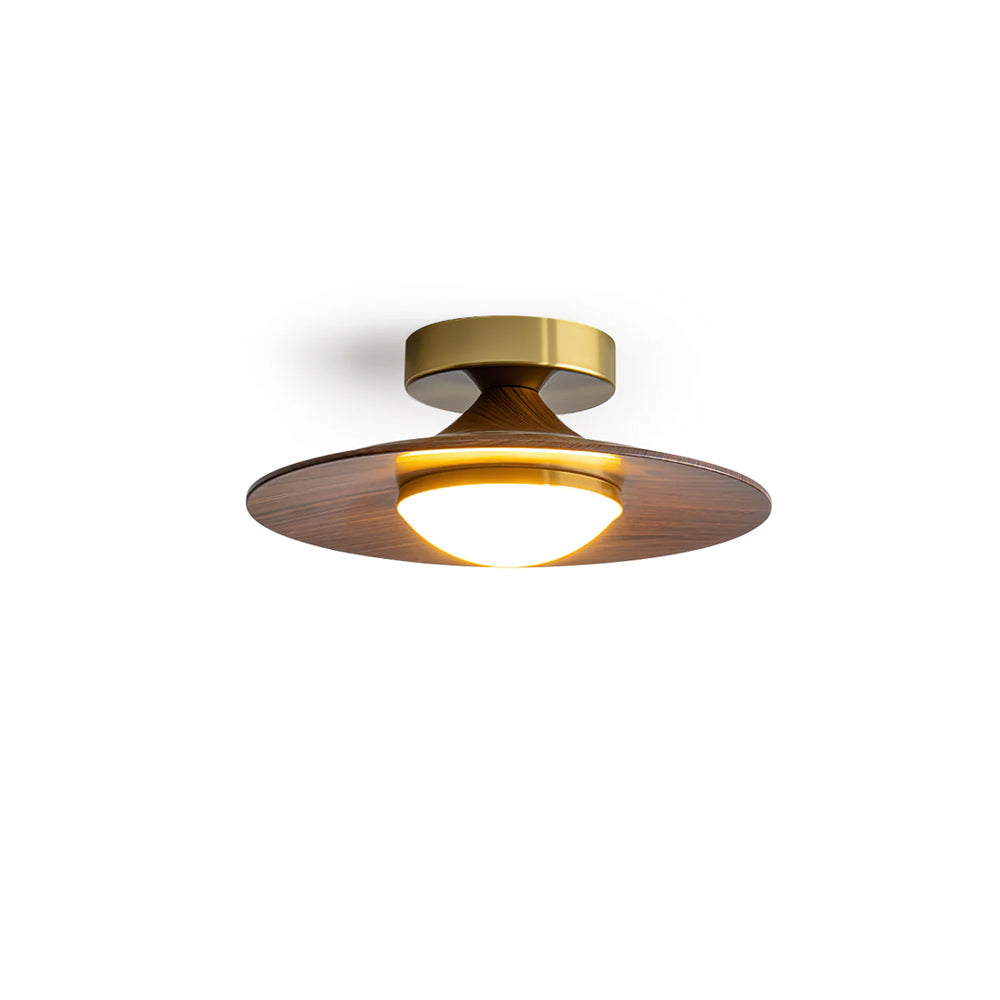 modern-minimalist-ceiling-light-with-frosted-glass-shade-img1.jpg