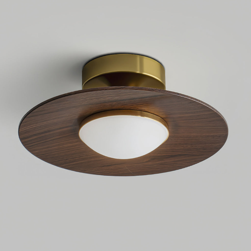 modern-minimalist-ceiling-light-with-frosted-glass-shade-img17.jpg
