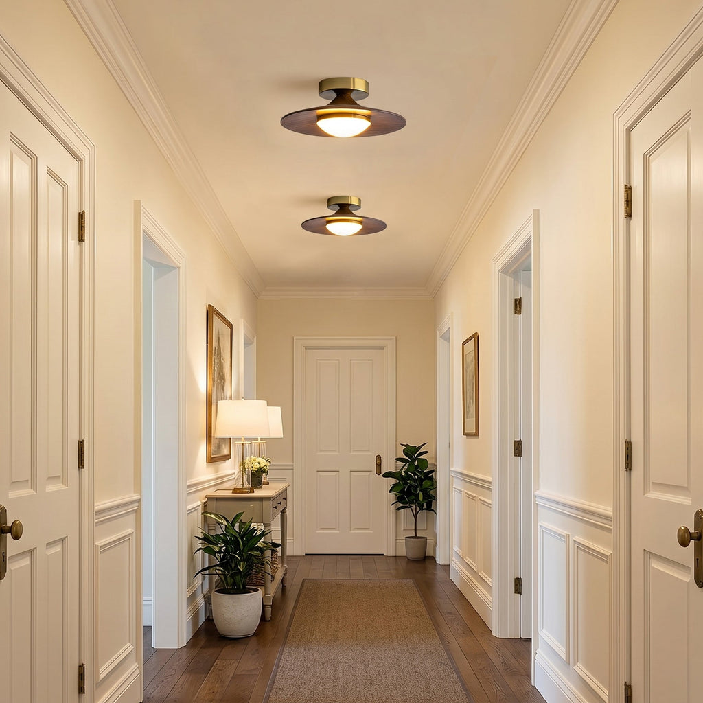 modern-minimalist-ceiling-light-with-frosted-glass-shade-img2.jpg
