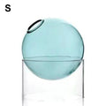 nordic-borosilicate-glass-hydroponic-vase-for-dried-flowers-img6.jpg