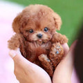 plush-movable-dog-toy-for-kids-soft-cuddly-imagination-boosting-img3.jpg