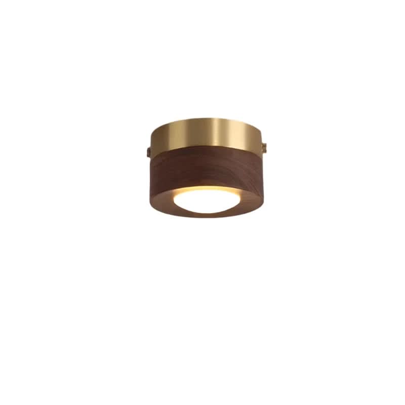 rustic-walnut-ceiling-light-with-energy-saving-led-glow-img9.jpg