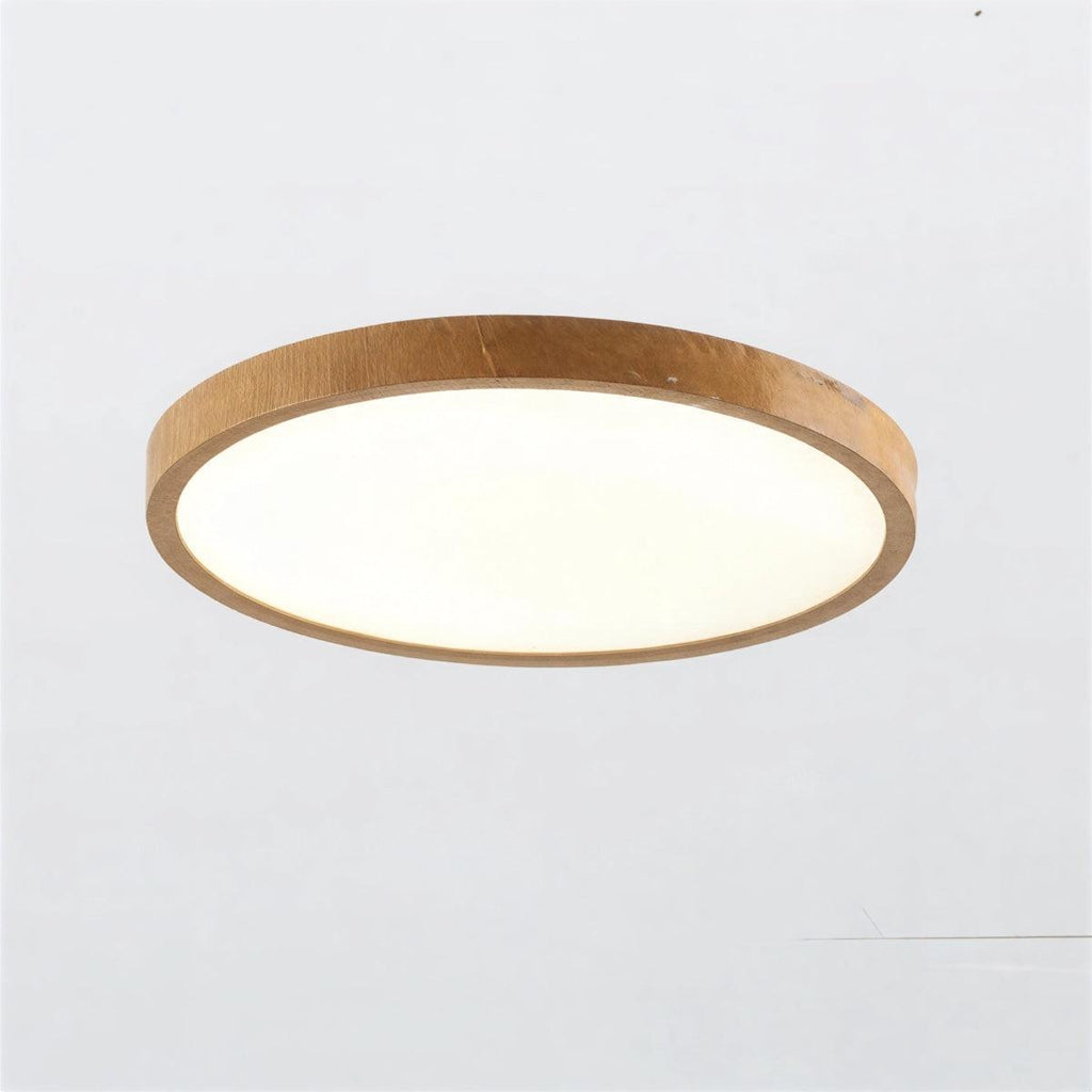 slim-round-led-flush-mount-ceiling-light-dimmable-3-color-modes-img1.jpg