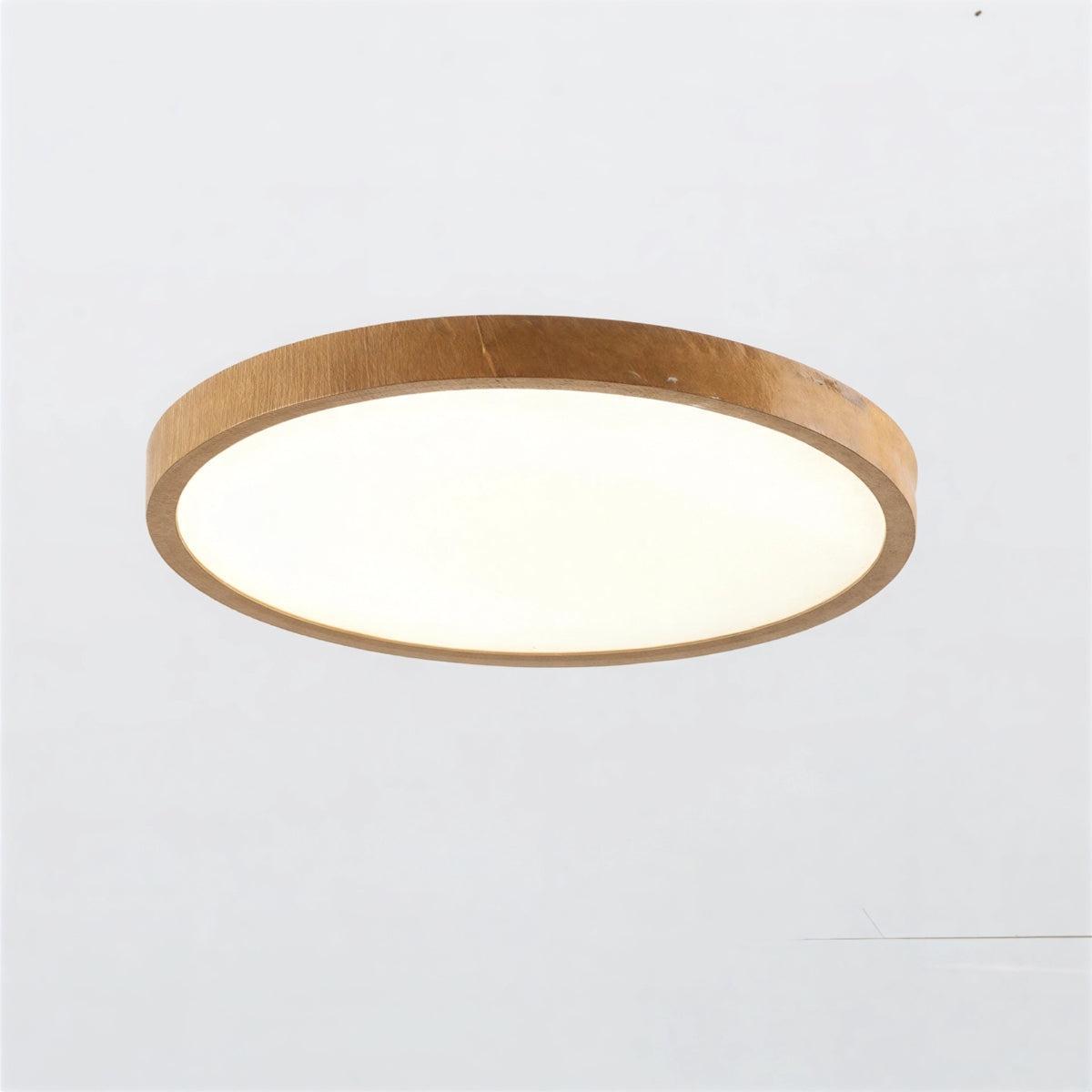 slim-round-led-flush-mount-ceiling-light-dimmable-3-color-modes-img1.jpg