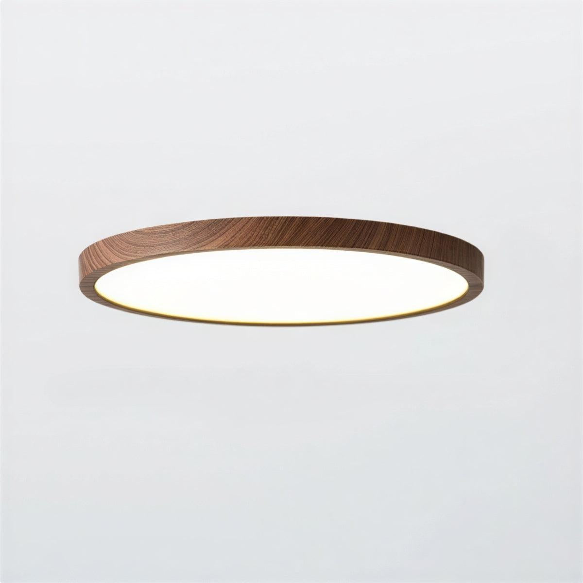 slim-round-led-flush-mount-ceiling-light-dimmable-3-color-modes-img2.jpg